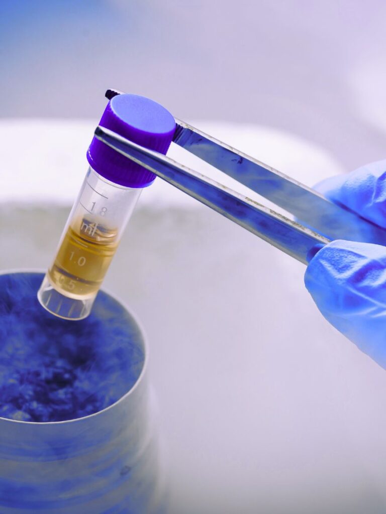 Stemcell