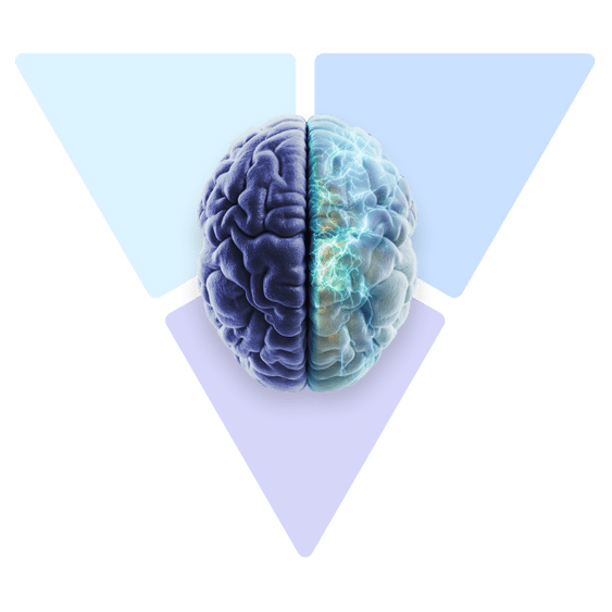 Brain Regen Parkison's (13)