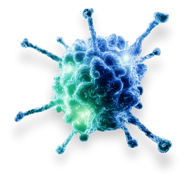 Brain Regen Parkison's (19)