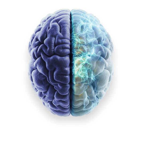 Brain Regen Parkison's (3)