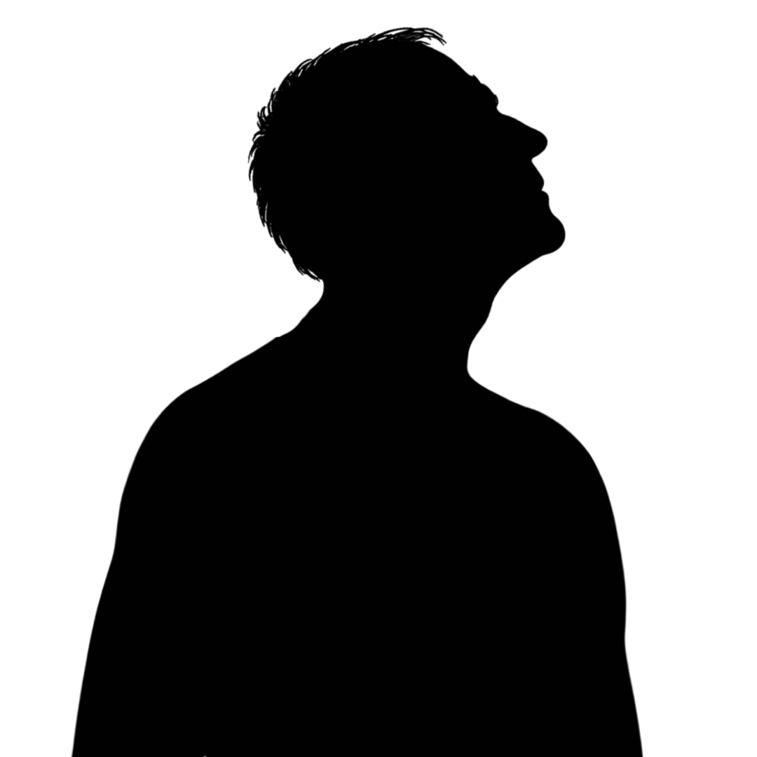 Silhouette (8)